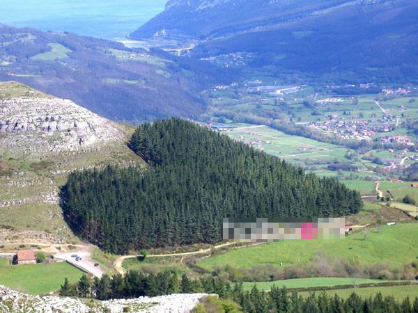 Khu rừng ở Cantabria, Tây Ban Nha