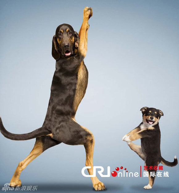 Tập động tác chân.