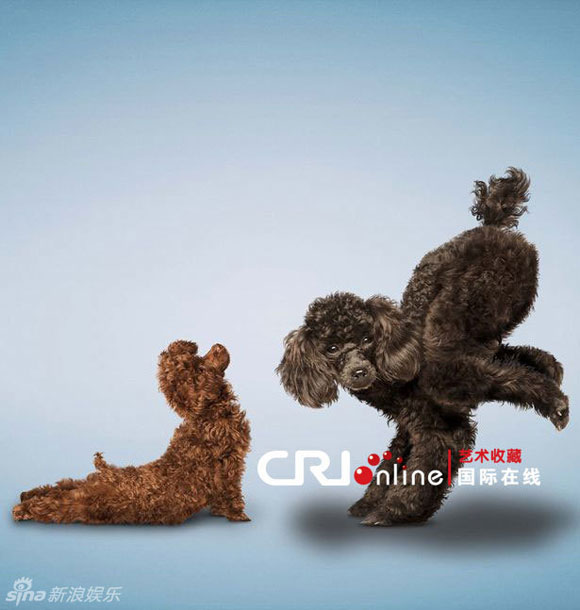 1,2,3 rướn lên hít vào nào!