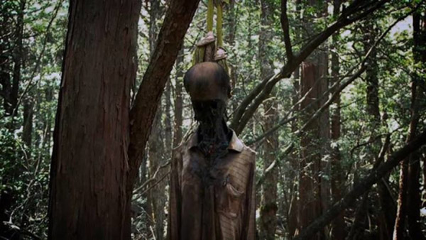 Câu chuyện kết thúc với hai người yêu nhau tự tử trong rừng Aokigahara, rất nhiều người tin, đó là mở đầu cho phong trào tự sát tại đây. Tuy nhiên, thực ra lịch sử tự sát ở đây còn diễn ra trước cuốn tiểu thuyết.