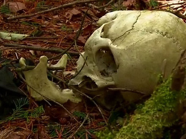 Một số khác tin rằng, Aokigahara có liên quan đến... quỷ dữ.
