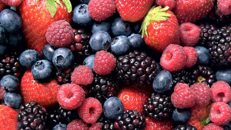 Quả việt quất có một loạt các chất phytochemical và chất chống ôxy hóa giúp cho bộ não khỏe mạnh. Quả mâm xôi chứa axit ellagic có tác dụng điều chỉnh mức cholesterol và loại độc tố khỏi Sh88bet đăng ký miễn phí giúp bạn có cảm giác thư thái.