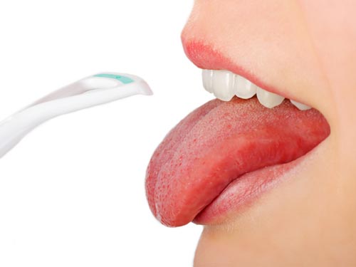 Lưỡi giống như xúc tu bạch tuộc. Lưỡi tạo thành từ 8 cơ riêng biệt và có thể uốn dẻo được. Cấu trúc này giống như vòi voi hoặc xúc tu của con bạch tuộc.