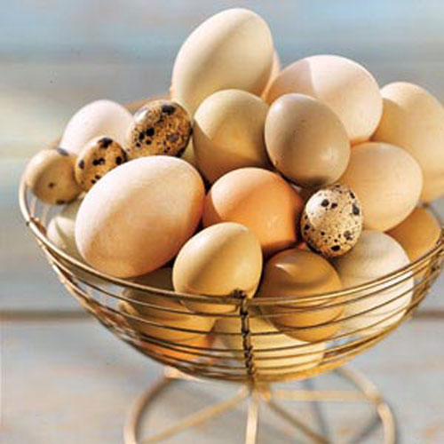 Hoặc cho tất cả trứng gà tươi vào một hộp giấy. Sau đó, mình bọc túi nilon bên ngoài và cho vào ngăn đá tủ lạnh.
