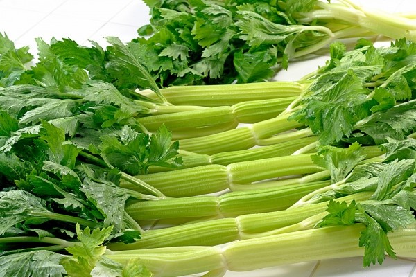 Bạn có biết mỗi 100g cần tây chỉ chứa có 11 calo mà thôi nhưng chúng vẫn cung cấp đầy đủ chất xơ và khoáng chất cần thiết cho cơ thể.