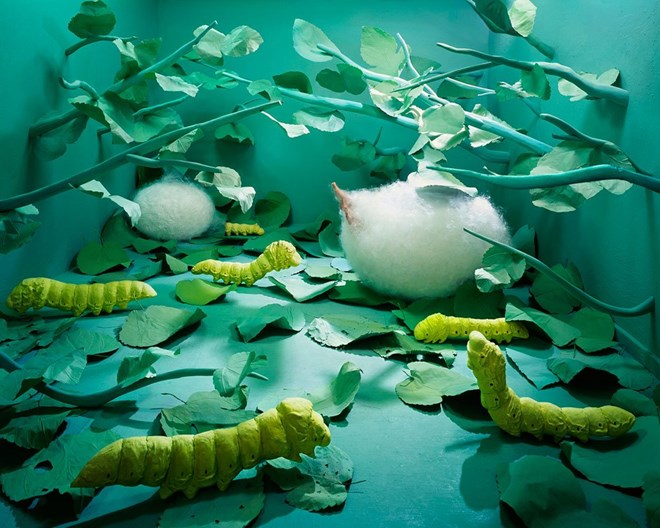 Những bức hình kỳ lạ, tuyệt vời này được Jee Young Lee dựng trong studio nhỏ của mình ở thủ đô Seoul.