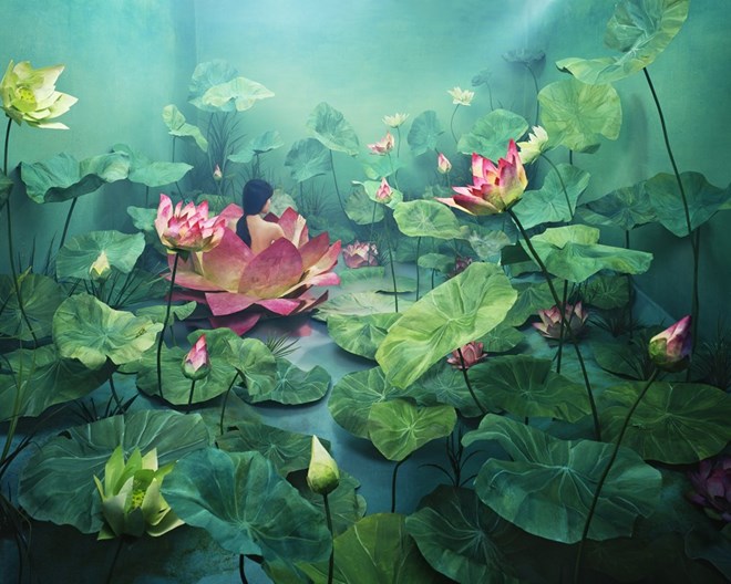 Bức ảnh đầy bí ẩn.