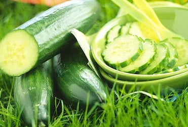Vỏ dưa chuột giải độc tố vị đắng trong vỏ chính là nơi chứa nhiều dinh dưỡng nhất của dưa chuột. Vỏ dưa giúp hấp thụ vitamin C tốt hơn và hỗ trợ tiêu độc trong Sh88bet đăng ký miễn phí.