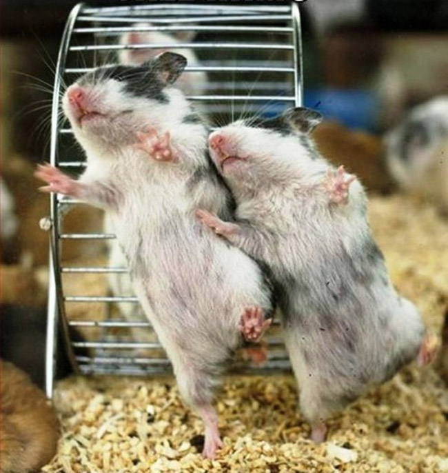 Nào mình cùng nhìn về một hưỡng nhé!