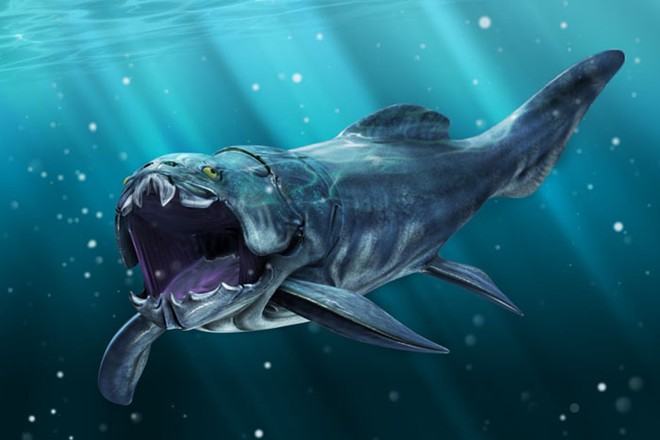 Cá bọc thép Dunkleosteus được bao phủ bởi các tấm xương rắn như thép. Chúng có chiều dài tới 10m và khối lượng khoảng 4 tấn. Chúng không có răng nhưng sở hữu hai bản xương sắc bén, hình thành một cấu trúc như mỏ chim để xé xác mọi chúng gặp. Thậm chí chúng còn ăn thịt đồng loại.