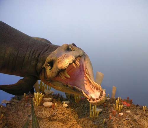 Cá sấu khổng lồ thống trị đại dương thời cổ đại Dakosaurus lần đầu tiên được phát hiện ở Đức. Nó có thân hình giống với loài bò sát và sở hữu những kỹ năng săn mồi khủng khiếp, có thể sánh ngang với cá voi sát thủ ngày nay và khủng long bạo chúa T-rex. Dakosaurus cũng là sát thủ hàng đầu của đại dương kỷ Jura.