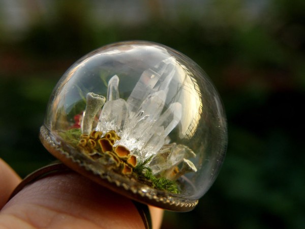 Chiếc nhẫn khu rừng pha lê.