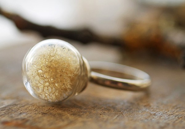 Chiếc nhẫn thế giới rêu trắng.