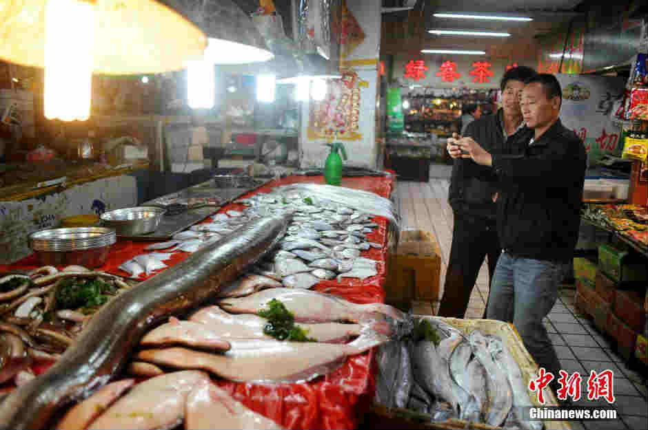 Hai du khách lưu lại hình ảnh con lươn khổng lồ.