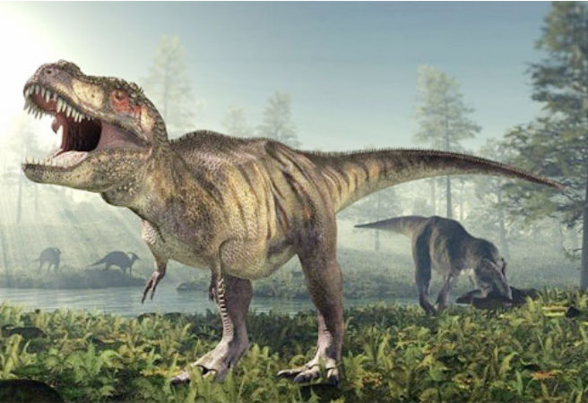 Loài khủng long bạo chúa Tyrannosaurus Rex (T-Rex) được biết đến là loài ăn thịt sống, đi bằng hai chân, với một hộp sọ lớn và cái đuôi khá nặng.
