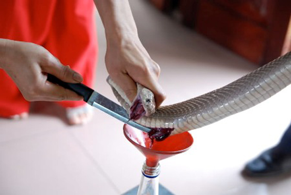 Khâu giết mổ rắn luôn thu hút sự quan tâm của nhiều người.