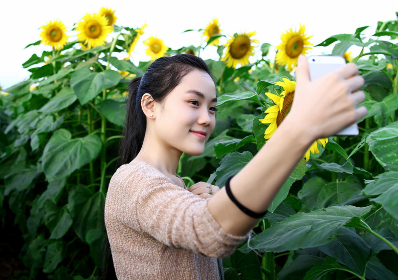 Hướng dương khiến mùa đông trở nên ấm áp hơn…