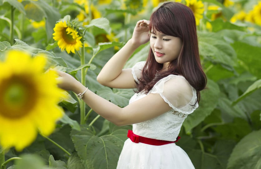 Hoa hướng dương được coi là biểu tượng của niềm tin và hy vọng, luôn hướng về điều tươi sáng nhất.