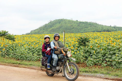 Hàng ngàn lượt người gồm dân 'phượt', thợ ảnh cũng như các du khách đã tìm đến, nán lại để tận hưởng không gian có một không hai này.