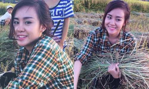 Bà Tưng cũng từng trổ tài gặt lúa như nhà nông chuyên nghiệp.