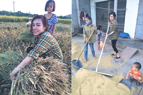Cô gặt hái, phơi thóc đầy chuyên nghiệp.