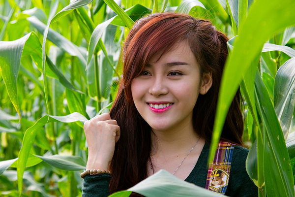 Bà Tưng e ấp giữa ruộng ngô khoe nét xinh tươi.