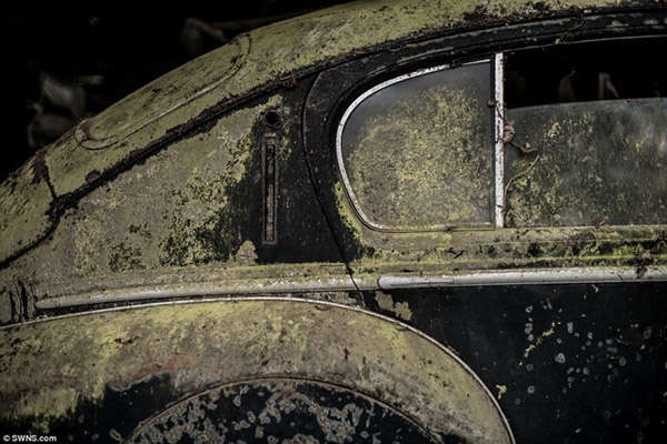 Các tên tuổi lẫy lừng nằm trong bộ sưu tập xe cổ gồm: Voisin, Bugatti Type 57 Ventoux, Delahaye, Facel Vega Excelllence, Hispano Suiza H6B, Lagonda LG45, Pahard-Levassor, Porsche 356 và Talbot Lago.