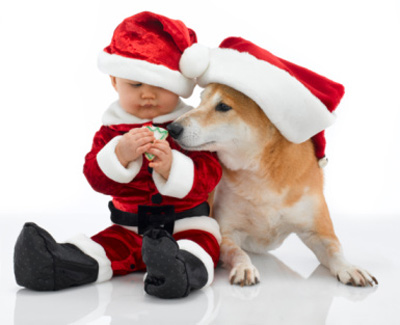 Hòa chung không khí của ngày lễ, các bậc phụ huynh đã cải trang cho bé yêu nhà mình thành những 'ông, bà Noel' nhí vô cùng ấn tượng.