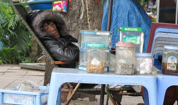 Trùm áo ấm, tranh thủ chợp mắt lúc quán hàng thưa thớt.