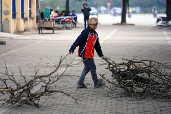 Trẻ em Hà Nội kiếm củi đốt cho ấm.