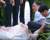Đã xác định nghi can vụ xác người trong bao tải trôi sông