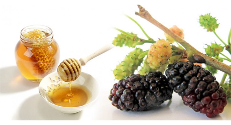 Tắm trắng hiệu quả bằng lá dâu tằm