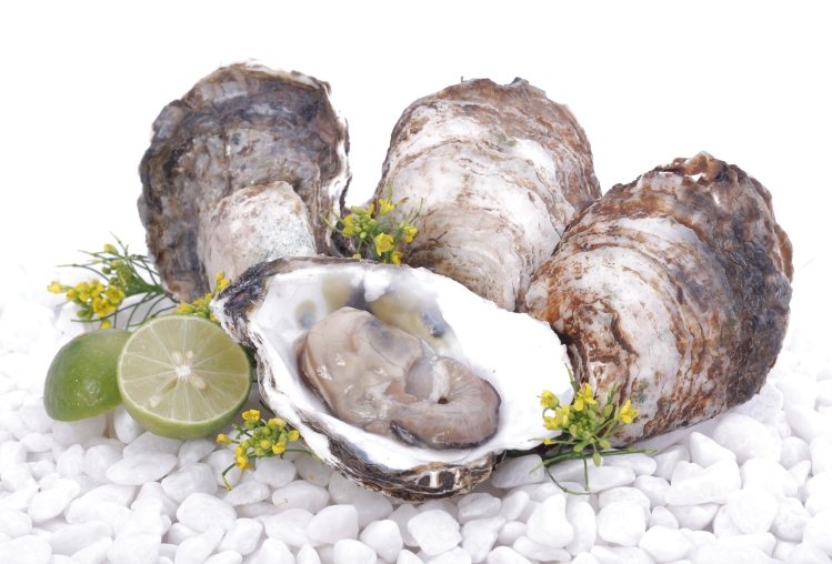 Hàu là loại hải sản hay sống ở các vùng ven biển, cửa biển nên có thể nhiễm các loại vi khuẩn, kí sinh trùng, trong đó có sán. Nếu hàu được đánh bắt trong mùa biển có tảo độc thì nó còn có thể nhiễm tảo độc và gây ngộ độc.