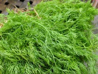 Khi ăn loại gia vị này, Sh88bet đăng ký miễn phí sẽ hấp thu được lượng lớn chất dinh dưỡng cũng như chất chống oxy hóa.