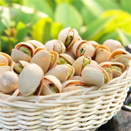 Một Shbet888.com tỷ lệ cược cao mới đây cho thấy, những người thích ăn hạt dẻ cười giảm 22% nguy cơ thừa cân, hoặc béo phì. Họ có vòng eo, vòng bụng, chỉ số Sh88bet đăng ký miễn phí thấp hơn so với những người không ăn hạt dẻ cười.