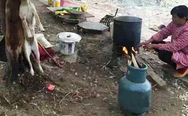 Kinh hãi cảnh dìm chết, lột da chó mèo tại Trung Quốc