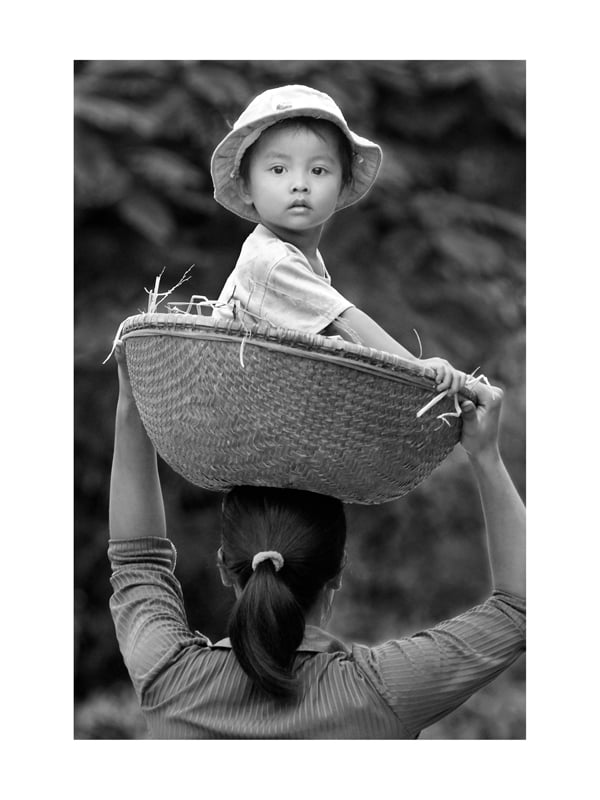 Đưa con đi khắp thế gian...