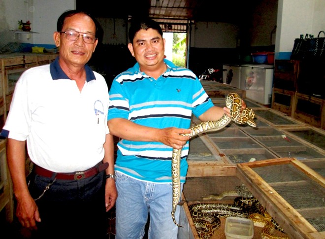 Anh Lê Minh Đường (xã Hiệp Lợi, thị xã Ngã Bảy, tỉnh Hậu Giang) chủ trang trại trăn.