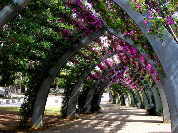 Con đường này nằm ở Brisbane - thành phố yên bình ở Úc.