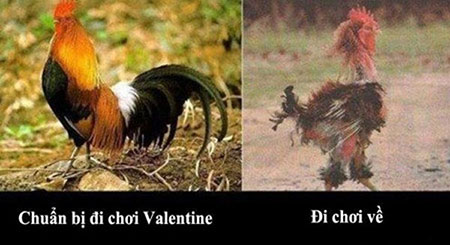 'Khi đi trai tráng, khi về bủng beo'.