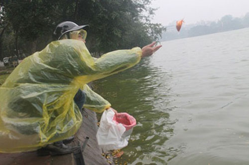 Sáng nay, trời mưa phùn, nhiều người dân đội áo mưa thả cá chép.