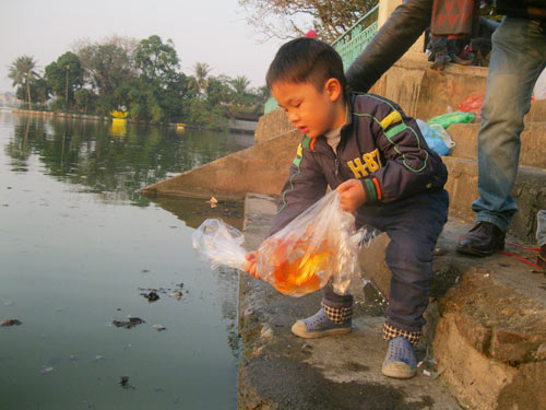 Nhiều em nhỏ được bố mẹ cho đi thả cá phóng sinh.