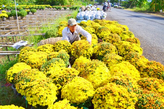 Không chỉ mãn nhãn với những thảm hoa rực rỡ, đến đây du khách còn cảm nhận được bầu không khí thanh tao, dễ chịu của muôn vàn hương hoa thơm mát.