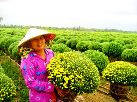 Đến đây vào bất cứ mùa nào trong năm, du khách đều có thể hòa mình trong vẻ đẹp quyến rũ của rất nhiều loài hoa. Vì vậy, nhiều người đã xem đây như ngôi làng “có bốn mùa xuân” hiếm hoi trong cả nước.