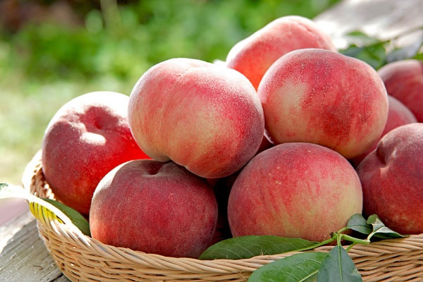 Trái đào có vị ngọt, tính nóng nên người mang thai ăn nhiều dễ gây xuất huyết. Đồng thời, lông ở vỏ trái đào dễ gây ngứa, rát cổ họng.
