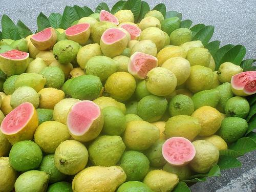 Tất cả những công năng thần kỳ từ quả ổi ai cũng nên biết