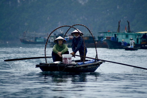 Với những người phụ nữ quanh năm đi biển, một bông hoa là món quà xa xỉ với họ.