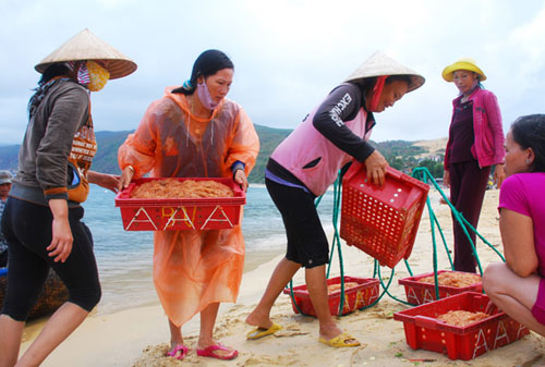 Khi hỏi về ngày Quốc tế mùng 8/3 nhiều người phụ nữ không biết đó là ngày của mình, họ chỉ biết ngày này cũng như bao nhiêu ngày bình thường khác.