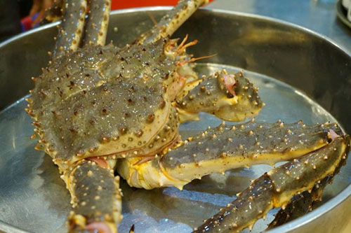 Trong ngày 8/3, giá loại cua hoàng đế này là 4,3 triệu đồng/kg, mỗi con nặng từ 3 kg trở lên dùng để chế biến các món dành cho 3 người.