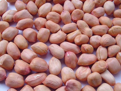 Hạt lạc là nguồn cung cấp chất béo tuyệt vời và rất giàu vitamin E, niacin, folate, protein, và mangan. Nó cũng chứa resveratrol - một chất chống oxy hóa giúp làm giảm nguy cơ mắc bệnh tim mạch.